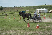 009 P11-MANIABILITE- ATTELAGE - 27052017-ATE 1393 : 2017, 27 Mai 2017, Concours ATTELAGE 2017, Maniabilité, P11