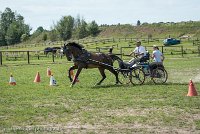 010 P11-MANIABILITE- ATTELAGE - 27052017-ATE 1394 : 2017, 27 Mai 2017, Concours ATTELAGE 2017, Maniabilité, P11