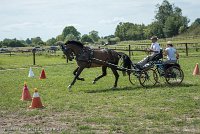 011 P11-MANIABILITE- ATTELAGE - 27052017-ATE 1395 : 2017, 27 Mai 2017, Concours ATTELAGE 2017, Maniabilité, P11