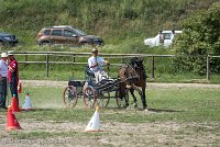 014 P11-MANIABILITE- ATTELAGE - 27052017-ATE 1398 : 2017, 27 Mai 2017, Concours ATTELAGE 2017, Maniabilité, P11