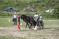 015 P11-MANIABILITE- ATTELAGE - 27052017-ATE 1399 : 2017, 27 Mai 2017, Concours ATTELAGE 2017, Maniabilité, P11