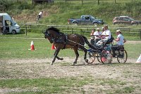 016 P11-MANIABILITE- ATTELAGE - 27052017-ATE 1400 : 2017, 27 Mai 2017, Concours ATTELAGE 2017, Maniabilité, P11