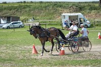 017 P11-MANIABILITE- ATTELAGE - 27052017-ATE 1401 : 2017, 27 Mai 2017, Concours ATTELAGE 2017, Maniabilité, P11