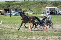 018 P11-MANIABILITE- ATTELAGE - 27052017-ATE 1402 : 2017, 27 Mai 2017, Concours ATTELAGE 2017, Maniabilité, P11