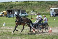 019 P11-MANIABILITE- ATTELAGE - 27052017-ATE 1403 : 2017, 27 Mai 2017, Concours ATTELAGE 2017, Maniabilité, P11