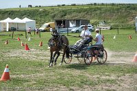 020 P11-MANIABILITE- ATTELAGE - 27052017-ATE 1404 : 2017, 27 Mai 2017, Concours ATTELAGE 2017, Maniabilité, P11