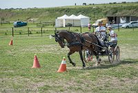 021 P11-MANIABILITE- ATTELAGE - 27052017-ATE 1405 : 2017, 27 Mai 2017, Concours ATTELAGE 2017, Maniabilité, P11