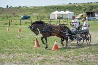 022 P11-MANIABILITE- ATTELAGE - 27052017-ATE 1406 : 2017, 27 Mai 2017, Concours ATTELAGE 2017, Maniabilité, P11