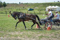 023 P11-MANIABILITE- ATTELAGE - 27052017-ATE 1407 : 2017, 27 Mai 2017, Concours ATTELAGE 2017, Maniabilité, P11