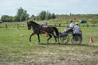 024 P11-MANIABILITE- ATTELAGE - 27052017-ATE 1408 : 2017, 27 Mai 2017, Concours ATTELAGE 2017, Maniabilité, P11