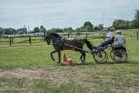 025 P11-MANIABILITE- ATTELAGE - 27052017-ATE 1409 : 2017, 27 Mai 2017, Concours ATTELAGE 2017, Maniabilité, P11