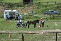 028 P11-MANIABILITE- ATTELAGE - 27052017-ATE 1412 : 2017, 27 Mai 2017, Concours ATTELAGE 2017, Maniabilité, P11