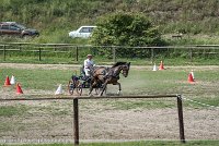 029 P11-MANIABILITE- ATTELAGE - 27052017-ATE 1413 : 2017, 27 Mai 2017, Concours ATTELAGE 2017, Maniabilité, P11