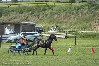 001 P12-MANIABILITE- ATTELAGE - 27052017-ATE 1416 : 2017, 27 Mai 2017, Concours ATTELAGE 2017, Maniabilité, P12