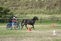 002 P12-MANIABILITE- ATTELAGE - 27052017-ATE 1417 : 2017, 27 Mai 2017, Concours ATTELAGE 2017, Maniabilité, P12