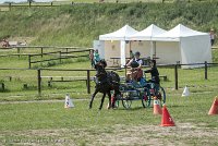 003 P12-MANIABILITE- ATTELAGE - 27052017-ATE 1418 : 2017, 27 Mai 2017, Concours ATTELAGE 2017, Maniabilité, P12