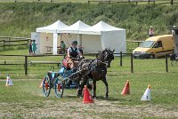 004 P12-MANIABILITE- ATTELAGE - 27052017-ATE 1419 : 2017, 27 Mai 2017, Concours ATTELAGE 2017, Maniabilité, P12