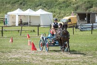 005 P12-MANIABILITE- ATTELAGE - 27052017-ATE 1420 : 2017, 27 Mai 2017, Concours ATTELAGE 2017, Maniabilité, P12