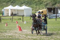 006 P12-MANIABILITE- ATTELAGE - 27052017-ATE 1421 : 2017, 27 Mai 2017, Concours ATTELAGE 2017, Maniabilité, P12