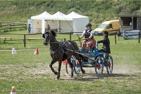 007 P12-MANIABILITE- ATTELAGE - 27052017-ATE 1422 : 2017, 27 Mai 2017, Concours ATTELAGE 2017, Maniabilité, P12