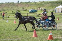 008 P12-MANIABILITE- ATTELAGE - 27052017-ATE 1423 : 2017, 27 Mai 2017, Concours ATTELAGE 2017, Maniabilité, P12