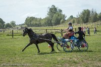 009 P12-MANIABILITE- ATTELAGE - 27052017-ATE 1424 : 2017, 27 Mai 2017, Concours ATTELAGE 2017, Maniabilité, P12