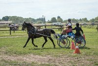 010 P12-MANIABILITE- ATTELAGE - 27052017-ATE 1425 : 2017, 27 Mai 2017, Concours ATTELAGE 2017, Maniabilité, P12