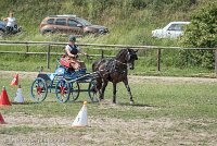 012 P12-MANIABILITE- ATTELAGE - 27052017-ATE 1427 : 2017, 27 Mai 2017, Concours ATTELAGE 2017, Maniabilité, P12