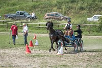 013 P12-MANIABILITE- ATTELAGE - 27052017-ATE 1428 : 2017, 27 Mai 2017, Concours ATTELAGE 2017, Maniabilité, P12