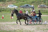 014 P12-MANIABILITE- ATTELAGE - 27052017-ATE 1429 : 2017, 27 Mai 2017, Concours ATTELAGE 2017, Maniabilité, P12