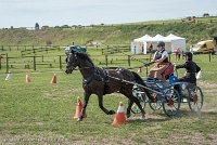 016 P12-MANIABILITE- ATTELAGE - 27052017-ATE 1431 : 2017, 27 Mai 2017, Concours ATTELAGE 2017, Maniabilité, P12