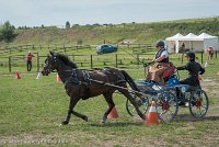 017 P12-MANIABILITE- ATTELAGE - 27052017-ATE 1432 : 2017, 27 Mai 2017, Concours ATTELAGE 2017, Maniabilité, P12