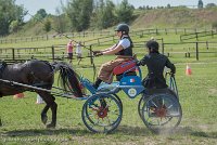 018 P12-MANIABILITE- ATTELAGE - 27052017-ATE 1433 : 2017, 27 Mai 2017, Concours ATTELAGE 2017, Maniabilité, P12