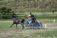 022 P12-MANIABILITE- ATTELAGE - 27052017-ATE 1437 : 2017, 27 Mai 2017, Concours ATTELAGE 2017, Maniabilité, P12