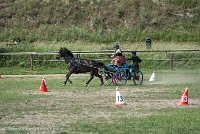 023 P12-MANIABILITE- ATTELAGE - 27052017-ATE 1438 : 2017, 27 Mai 2017, Concours ATTELAGE 2017, Maniabilité, P12