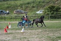 024 P12-MANIABILITE- ATTELAGE - 27052017-ATE 1439 : 2017, 27 Mai 2017, Concours ATTELAGE 2017, Maniabilité, P12