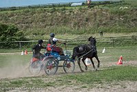 027 P12-MANIABILITE- ATTELAGE - 27052017-ATE 1442 : 2017, 27 Mai 2017, Concours ATTELAGE 2017, Maniabilité, P12