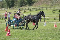 030 P12-MANIABILITE- ATTELAGE - 27052017-ATE 1445 : 2017, 27 Mai 2017, Concours ATTELAGE 2017, Maniabilité, P12