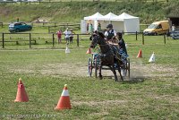 031 P12-MANIABILITE- ATTELAGE - 27052017-ATE 1446 : 2017, 27 Mai 2017, Concours ATTELAGE 2017, Maniabilité, P12