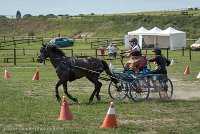 032 P12-MANIABILITE- ATTELAGE - 27052017-ATE 1447 : 2017, 27 Mai 2017, Concours ATTELAGE 2017, Maniabilité, P12