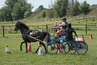 033 P12-MANIABILITE- ATTELAGE - 27052017-ATE 1448 : 2017, 27 Mai 2017, Concours ATTELAGE 2017, Maniabilité, P12
