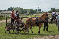 001 P13-MANIABILITE- ATTELAGE - 27052017-ATE 1449 : 2017, 27 Mai 2017, Concours ATTELAGE 2017, Maniabilité, P13