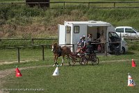 002 P13-MANIABILITE- ATTELAGE - 27052017-ATE 1451 : 2017, 27 Mai 2017, Concours ATTELAGE 2017, Maniabilité, P13