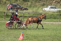 003 P13-MANIABILITE- ATTELAGE - 27052017-ATE 1452 : 2017, 27 Mai 2017, Concours ATTELAGE 2017, Maniabilité, P13