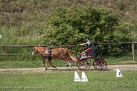 004 P13-MANIABILITE- ATTELAGE - 27052017-ATE 1453 : 2017, 27 Mai 2017, Concours ATTELAGE 2017, Maniabilité, P13