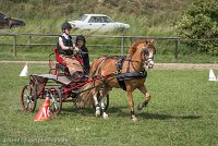 008 P13-MANIABILITE- ATTELAGE - 27052017-ATE 1457 : 2017, 27 Mai 2017, Concours ATTELAGE 2017, Maniabilité, P13