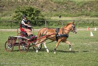 009 P13-MANIABILITE- ATTELAGE - 27052017-ATE 1458 : 2017, 27 Mai 2017, Concours ATTELAGE 2017, Maniabilité, P13