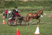 010 P13-MANIABILITE- ATTELAGE - 27052017-ATE 1459 : 2017, 27 Mai 2017, Concours ATTELAGE 2017, Maniabilité, P13