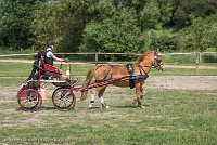 011 P13-MANIABILITE- ATTELAGE - 27052017-ATE 1460 : 2017, 27 Mai 2017, Concours ATTELAGE 2017, Maniabilité, P13