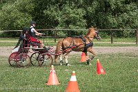 012 P13-MANIABILITE- ATTELAGE - 27052017-ATE 1461 : 2017, 27 Mai 2017, Concours ATTELAGE 2017, Maniabilité, P13